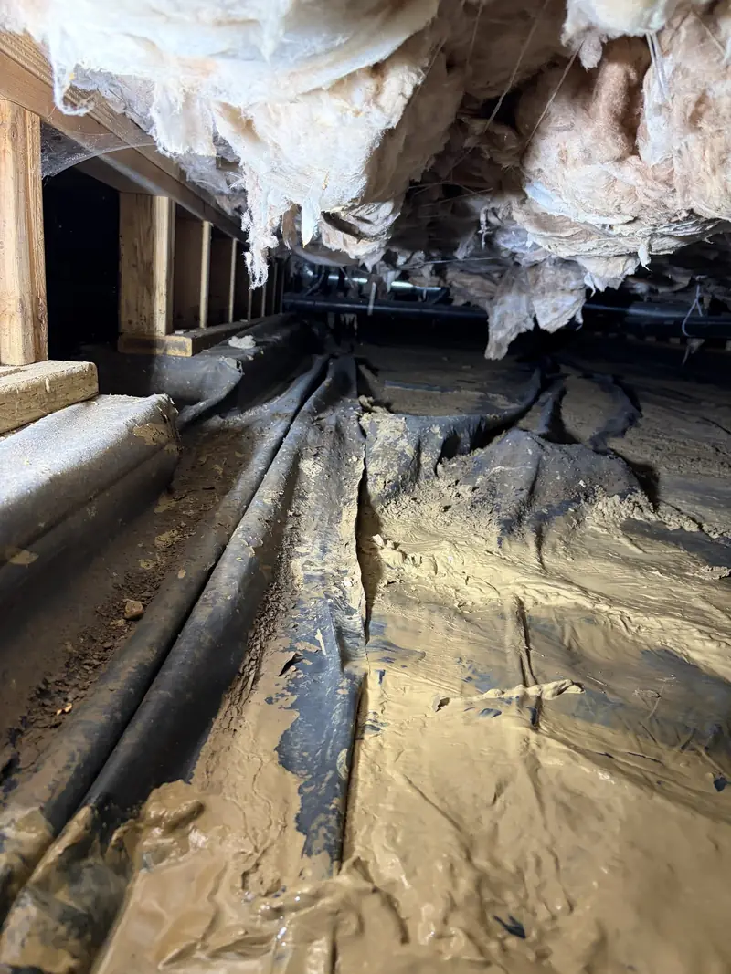 Drain lines laid along the foundation wall in a muddy crawl space