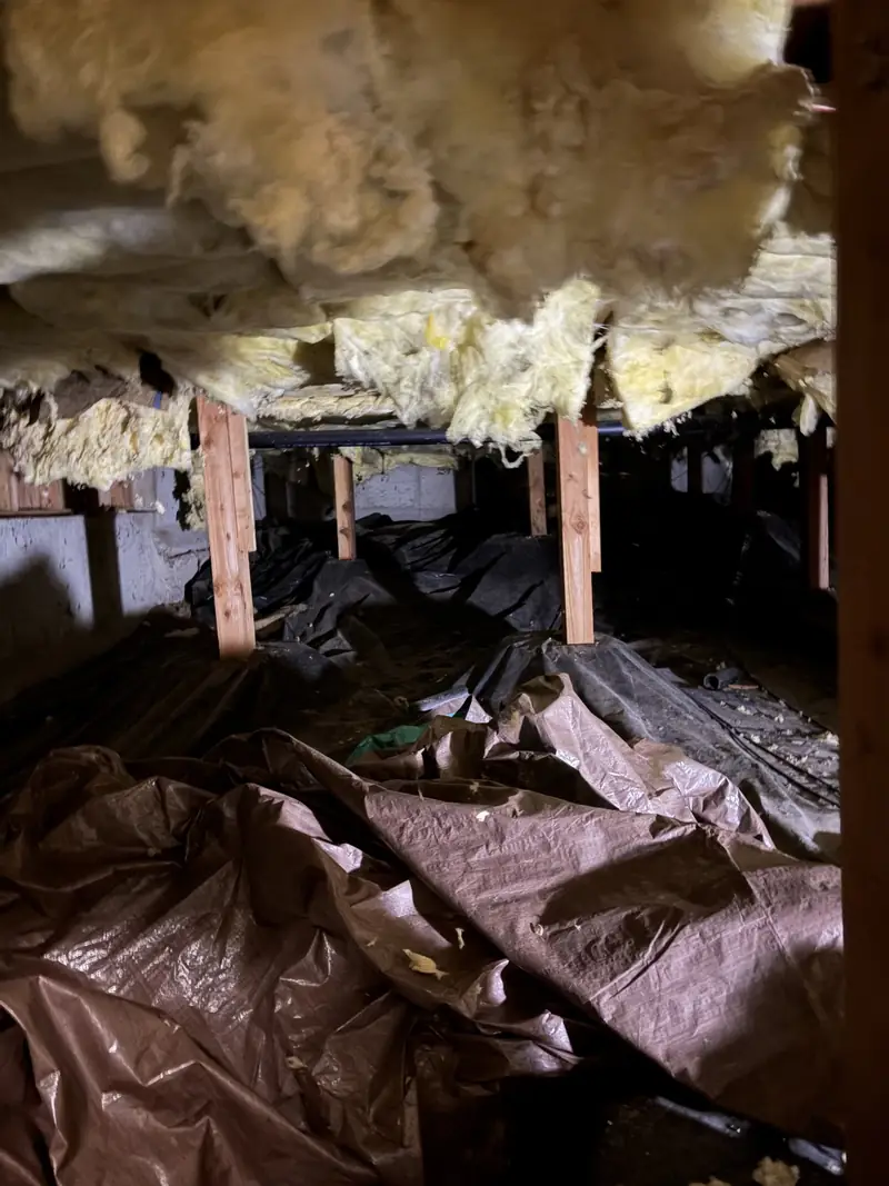 Crawl space full of old plastic, debris and fallen insulation