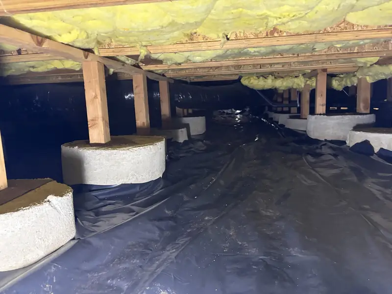 Row of wood support posts on concrete piers beneath floor framing in a crawl space