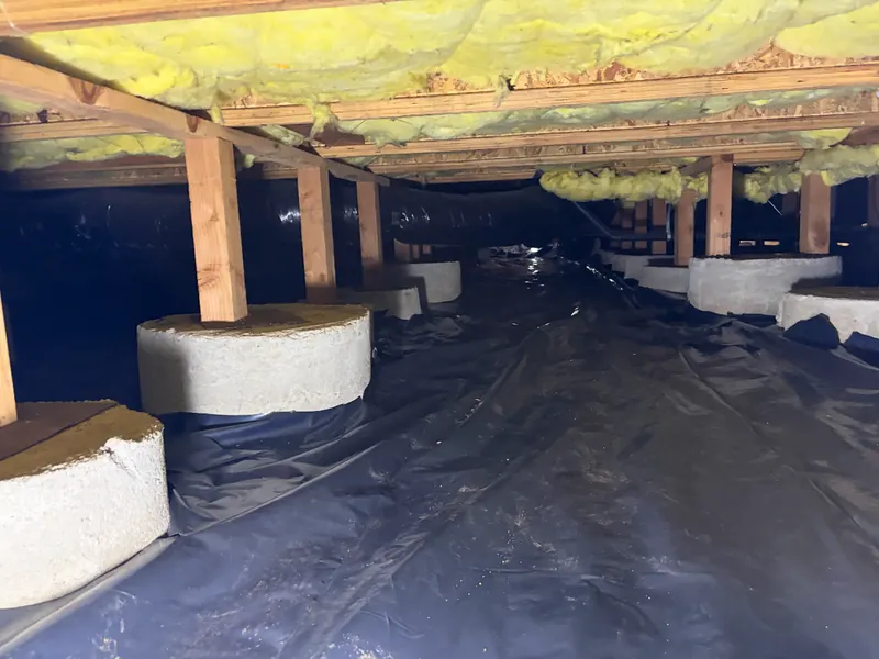 New black vapor barrier covering the ground around round concrete piers in a crawl space