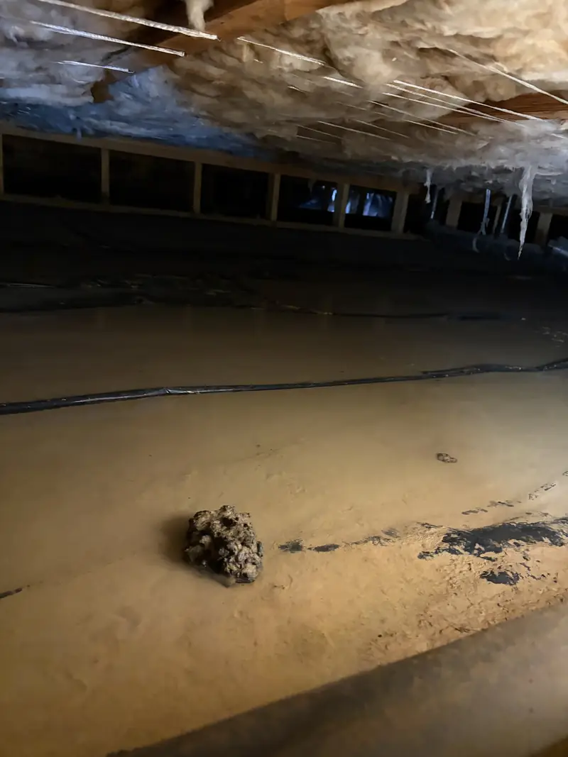 Standing water covering the ground in a crawl space